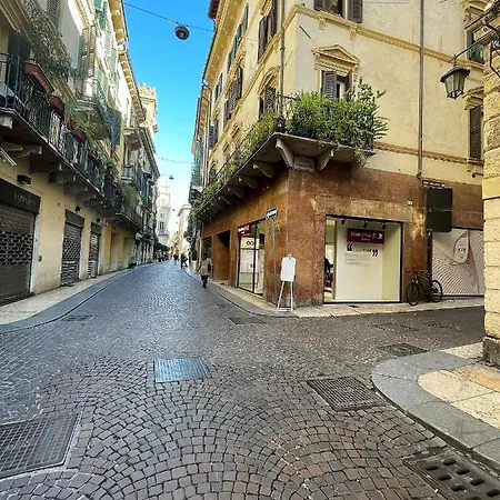 Magnolia - Piazza Delle Erbe *