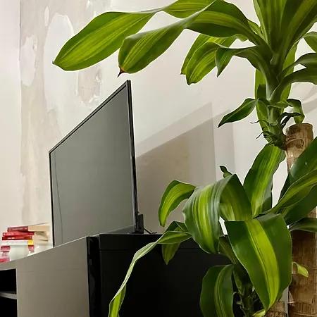 Apartment Magnolia - Piazza Delle Erbe *